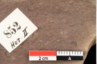 Foto (Detailsansicht) von Quercus palaeoilex Ettingshausen (NHMW-GEO-2024-0188-0852)
